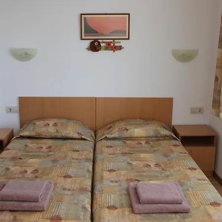 Otel Radik 3*